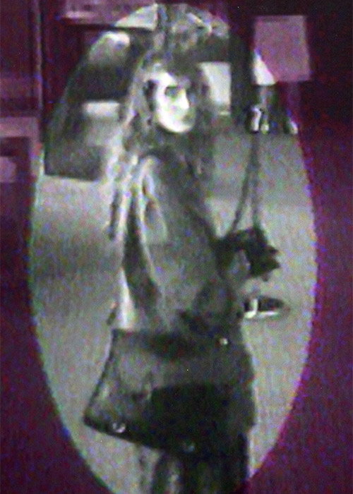 The last known image of Annie McCarrick pictured this morning at Irishtown Garda station at a public appeal for Information and Media Briefing on 30th Anniversary of Disappearance of Annie McCarrick. Pic: Colin Keegan, Collins Dublin