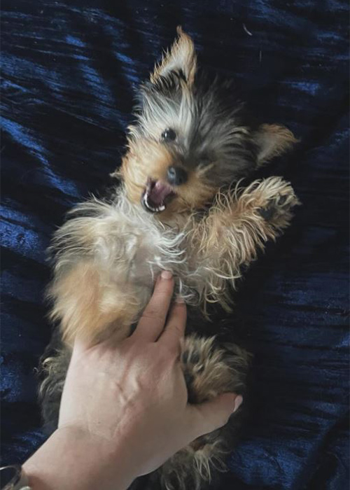 Baby Elle. Pic: Supplied