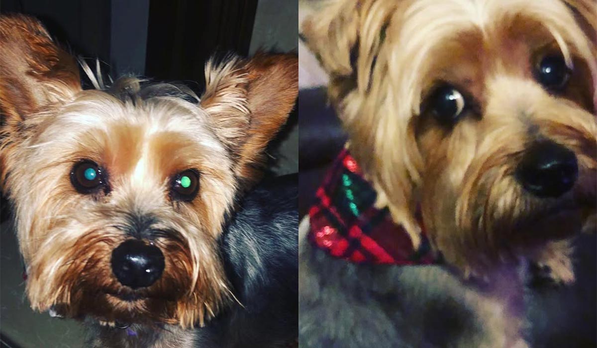 Pic: Lisa Brady/Instagram