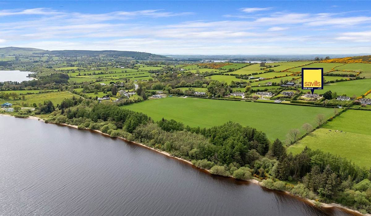 Lakeview Lodge, Blessington, Co. Wicklow, €1,450,000. Pic: Myhome.ie