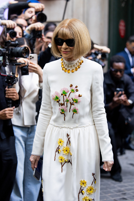 Anna Wintour wears white dress outside Giambattista Valli during the Haute Couture Fall/Winter 2025/2026 as part of Paris Fashion Week. Pic: Getty Images