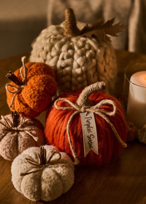 Chunky knit pumpkin, 12. Pic: Dunnes Stores