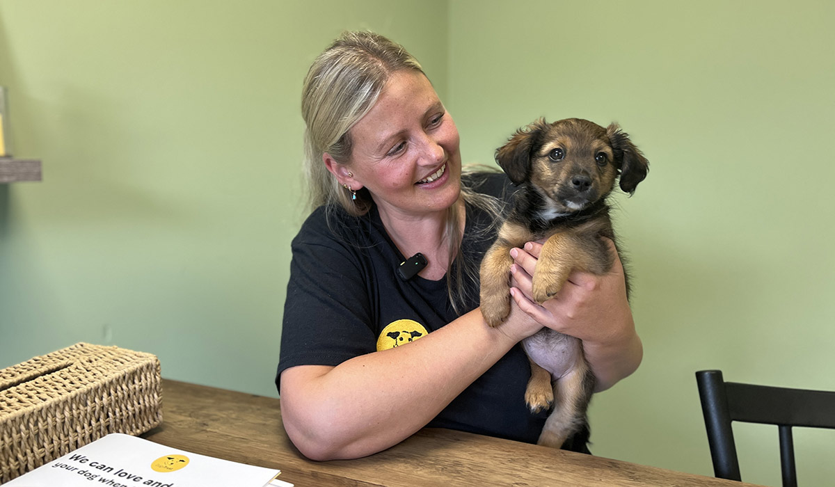 Dogs Trust Ireland. Pic: Supplied