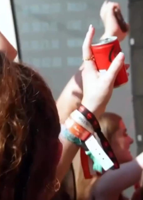 Pic: Electric Picnic/Instagram