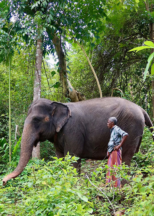 Pic: Brian Fenton/Instagram